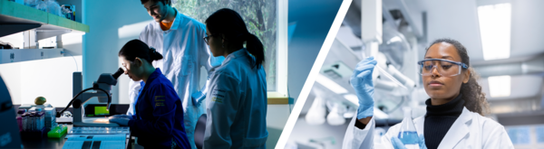 laboratory personnel in a research lab; working with chemicals